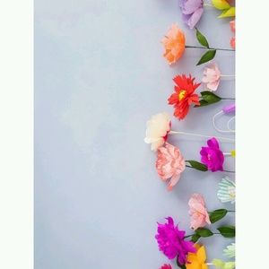 Meet your Posher, Shyanne